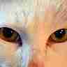 黑料不打烊又曝猛料,网友直呼太震撼!(155 )